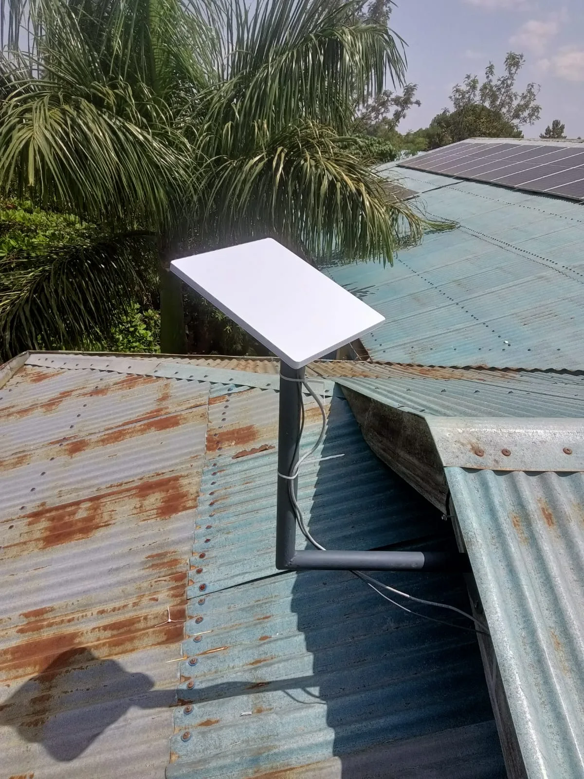 Professional Starlink Installation in Kenya